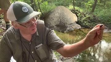 Fossil Collecting with Carl Brett: Brachiopods