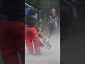 Dutch Shepherd attack. Detention of the &quot;violator&quot;. Training of service dogs. СТРАЖ Odessa Ukraine