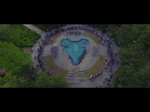 დედაენის დღისადმი მიძღვნილი ფლეშმობი