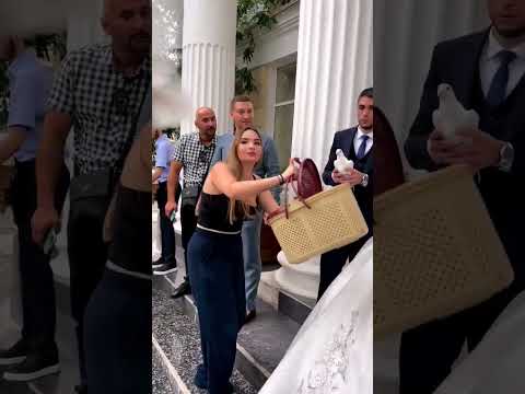 شوف الطير مال العروس شلون انهزم شكد فكر
