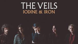 Video thumbnail of "The Veils - Iodine & Iron (Audio)"