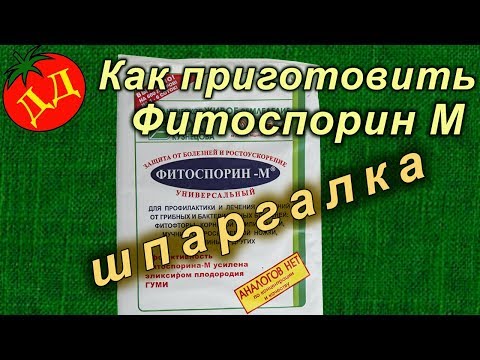 Как разводить фитоспорин в пасте