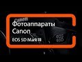 Видеообзор фотоаппарата Canon EOS 5D Mark III