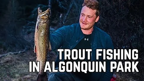 Algonquin Park Spring Brook Trout Fishing Trip Wit...