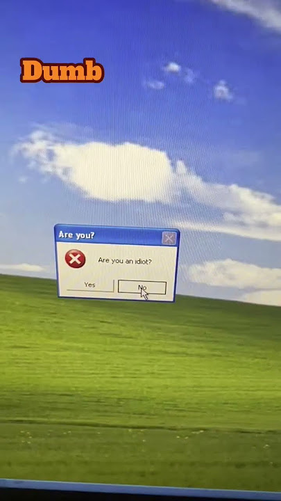 You are a idiot virus