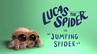 Прыгающий Паук Лукас Lucas the Spider Jumping Spider на русском