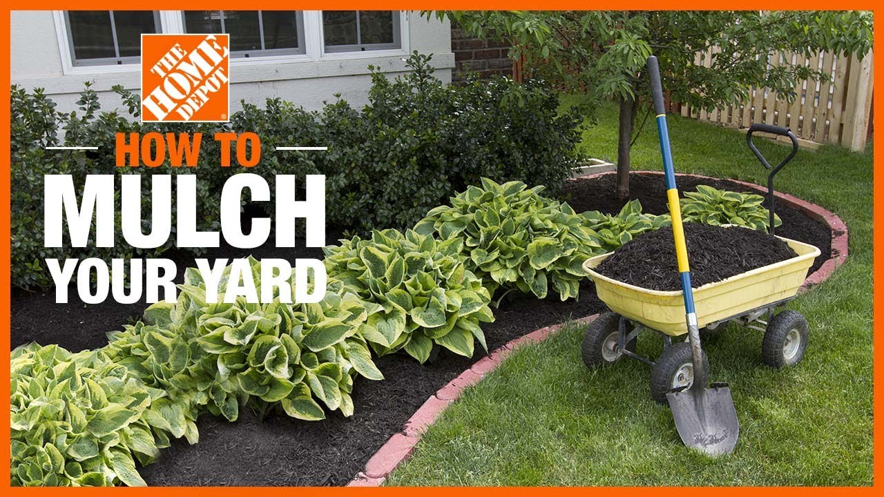 How To Mulch Your Yard The Home Depot