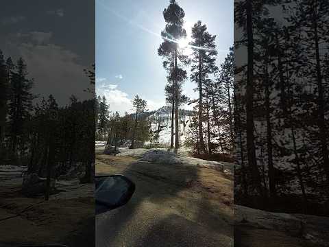 Ценности жизни #motivation #стихи #душа #фразы #цитаты #жизнь #шортс #nature #shorts #высказывания