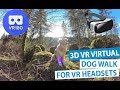 3D Virtual Dog Walk with Miley for Oculus Quest & other VR Headsets (VR180 Video 5.7K)