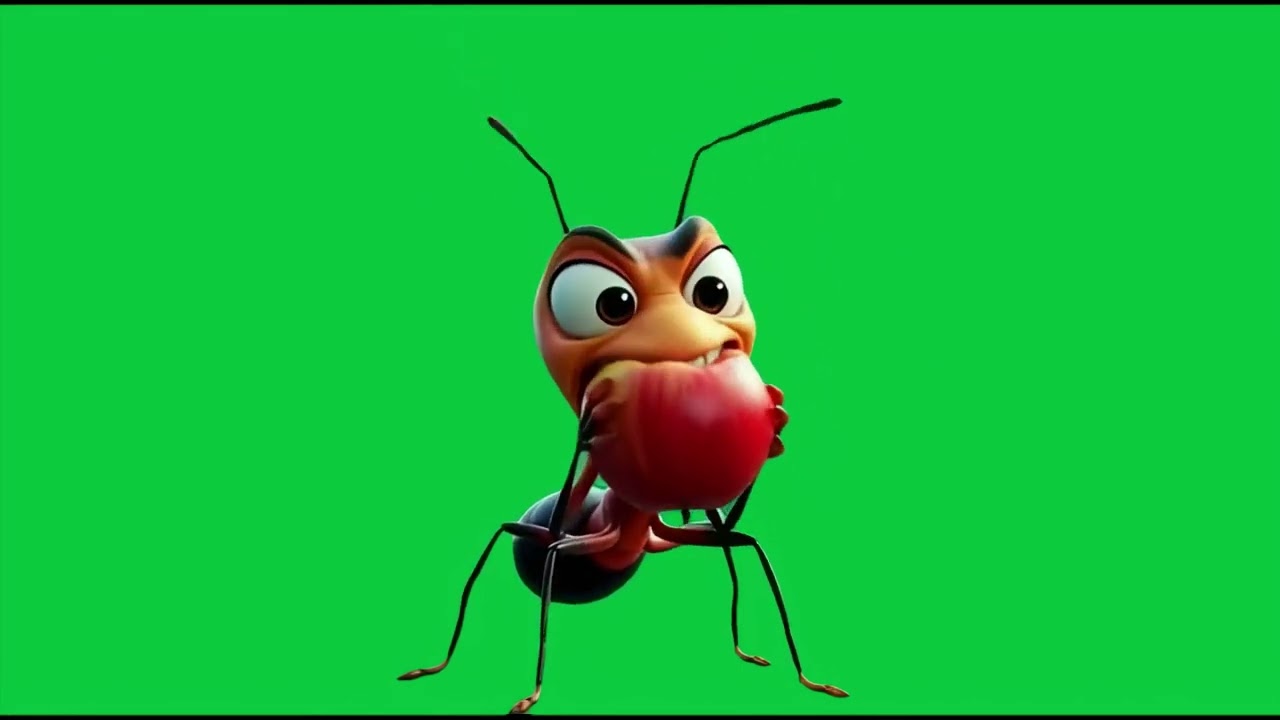 La fourmi mange une pomme 4k Green Screen