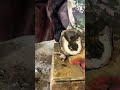Donkey hoof trimming, this skill is rare now, the process is relaxing to watch.