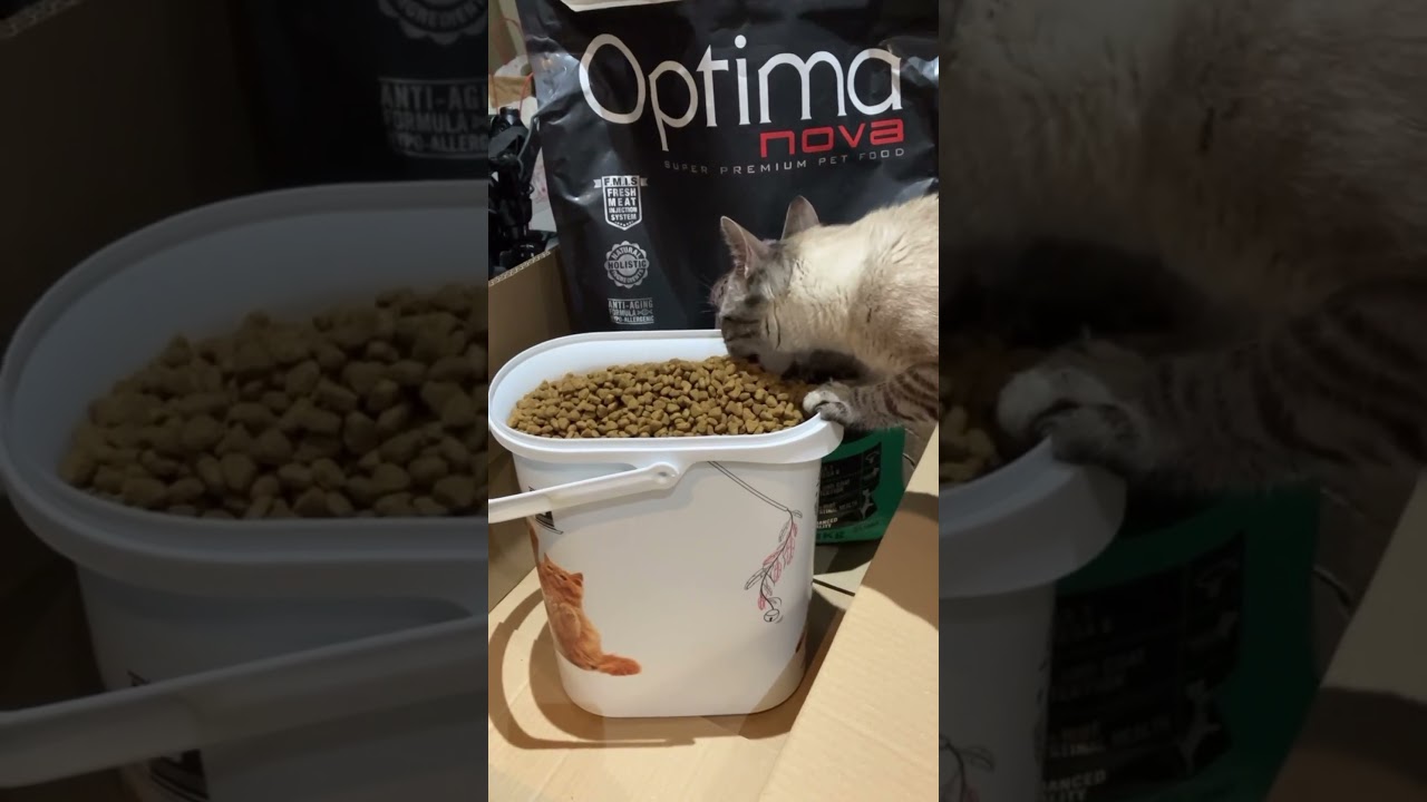 Bienvenue chez Elite Vibrisses Expérience