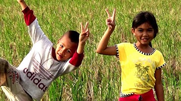 Cảnh quan chồm cây thốt nốt hình trái tim vào dịp nghỉ lễ - An Tức, Tri Tôn, An Giang 31/12/2018