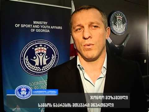 სამბისტებმა ევროპის ჩემპიონატი სამინისტროში შეაფასეს