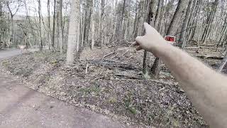 2 Acres... Very Gently Sloped In Paw Paw WV Owner Finance available