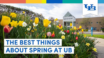 What Do You Love Most About Spring at UB? | University at Buffalo