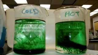 BIOL1L - Lab04 - Activity 1