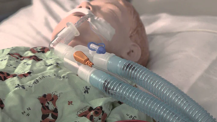"Ventilator Safety Assessment" by Kevin Bullock, M...