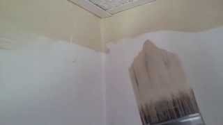 Great Paint Brush For Edges And Corners Styletto Paint Brush, Quick Review.