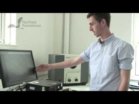 What to expect from a Nuffield Research Placement