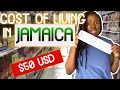 COST OF LIVING IN JAMAICA :: WHAT $7000 GETS YOU AT A JAMAICAN SUPERMARKET