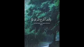 سورة الاعلى القارئ عبدالرحمن مسعد