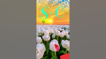 S love G status video #whatsapp_status #name_status_video #nameart #ravindra_ranjan #viral #reels