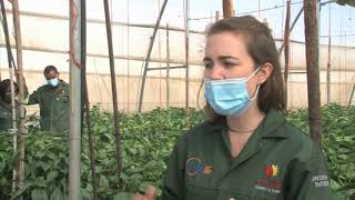 Agriculture graduates to be trained in high tech desert agriculture techniques-NBC