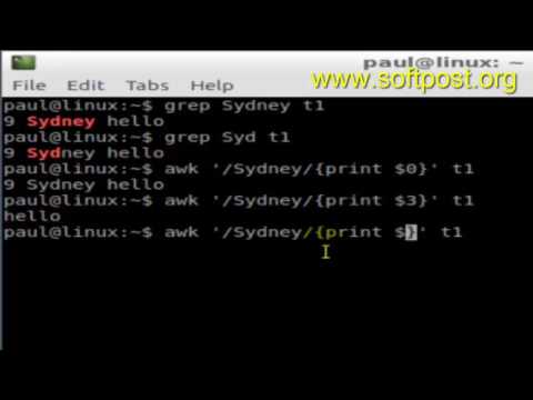 Difference between grep