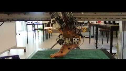 Gait simulation