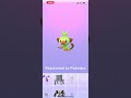 Catching my fisrst Grookey! #pokemongo #galar