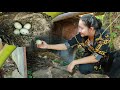 I collect goose eggs from back yard for yummy recipe | Goose eggs cook | Sros yummy cooking vlogs