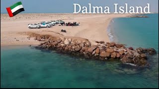 Dalma Island Vlog Abu Dhabi 🇦🇪 | BBQ, Camping and Ferry ⛴  Experience | Full tour