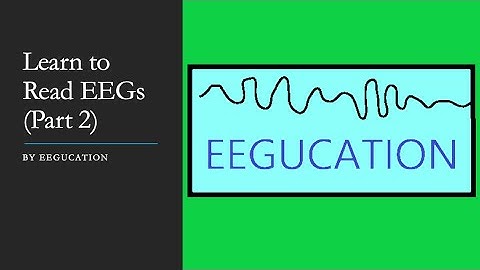 Learn to Read EEGs   Part 2