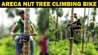 Arecanut Tree Climbing Machine | Betel nut / Areca nut Tree Climber Bike