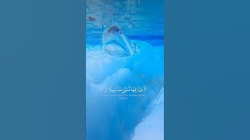 عينًا فيها تسمى سلسبيلا ❤️ | القارئ محمد اللحيدان | سورة الانسان آية 18- 21 #قرآن #قران_كريم #لايك