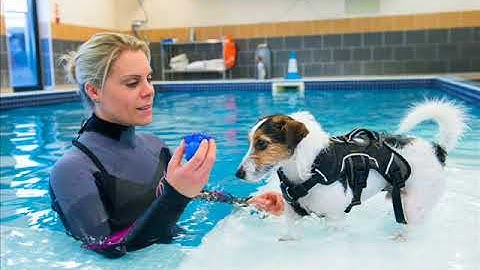 Fitzpatrick referrals hope from despair (C) AwH