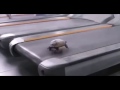 Turtle running on treadmill meme