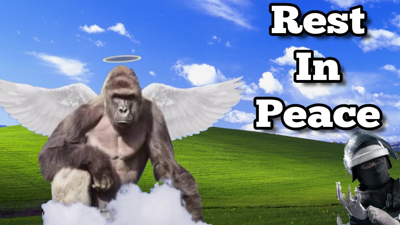 BECOMING APES | Rainbow Six Siege Funny Moments