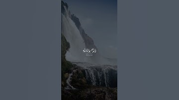 مريم - الآية ١٤ وَبَرًّۢا بِوَٰلِدَيْهِ وَلَمْ يَكُن جَبَّارًا عَصِيًّا