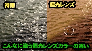 【釣り人必見】レンズカラーには意味がある　海で検証！　偏光レンズのカラーによる見え方の違い