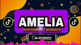 🏝️AMELIA🏝️DISCO TIKTOK MIX|☑️ DJ JUNER DULABAY REMIX