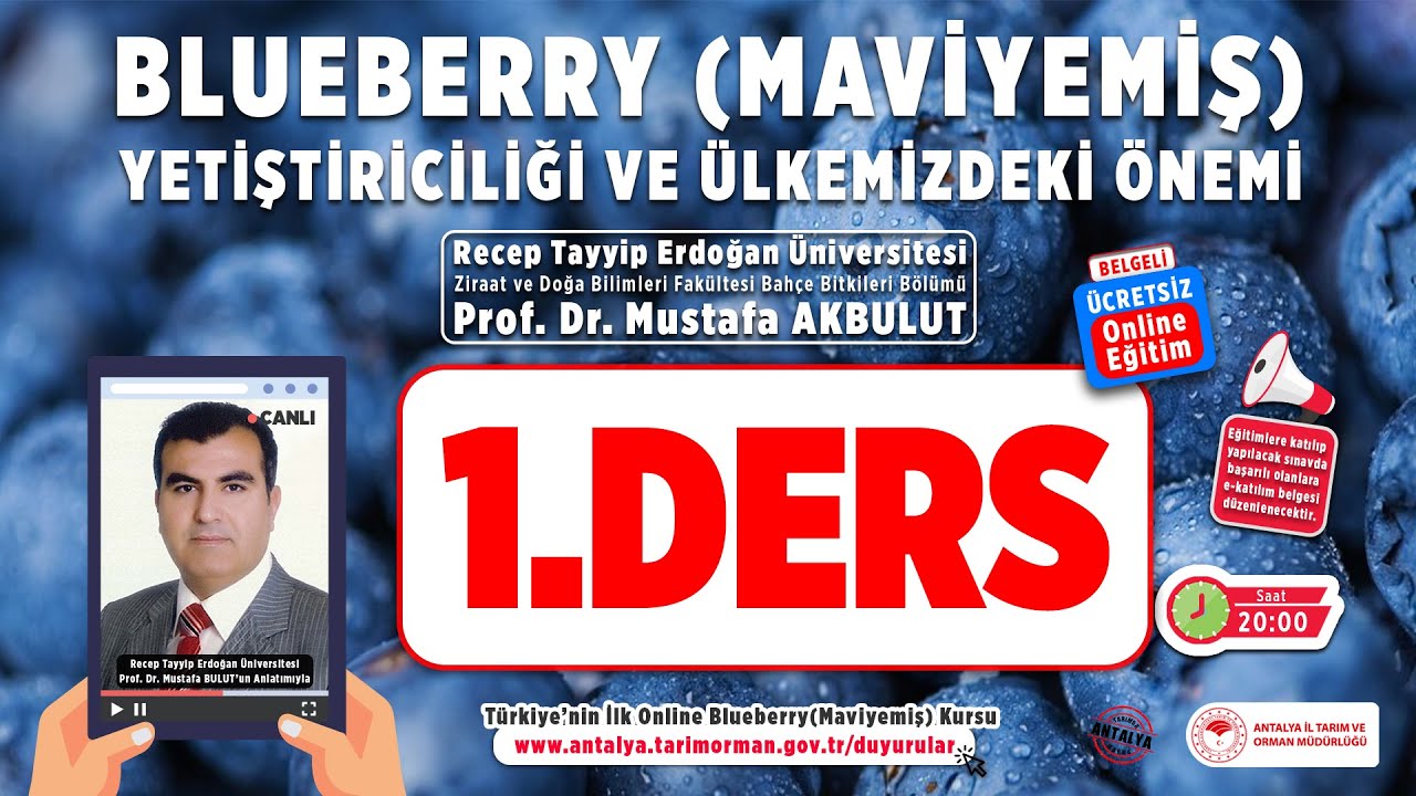 Blueberry Yetiştiriciliği ( Maviyemiş)  ve Ülkemizdeki Potansiyeli Eğitimi 1.Ders
