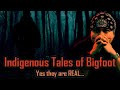 Indigenous tales of bigfoot  yes they are real