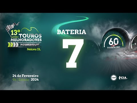 Bateria 7 - 13º Leilão de Touros Melhoradores Nelore OL - Edição Virtual