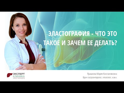 Эластография печени - что это такое? | Клиника ЭКСПЕРТ