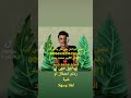 النجم محمد جنيد