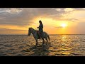 Gili Trawangan Indonesia | Paddleboarding &amp; Horseback Riding