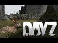 Funniest dayz hacker ever