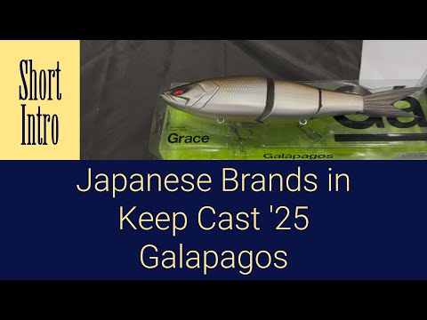 Japanese Fishing Lure Brands